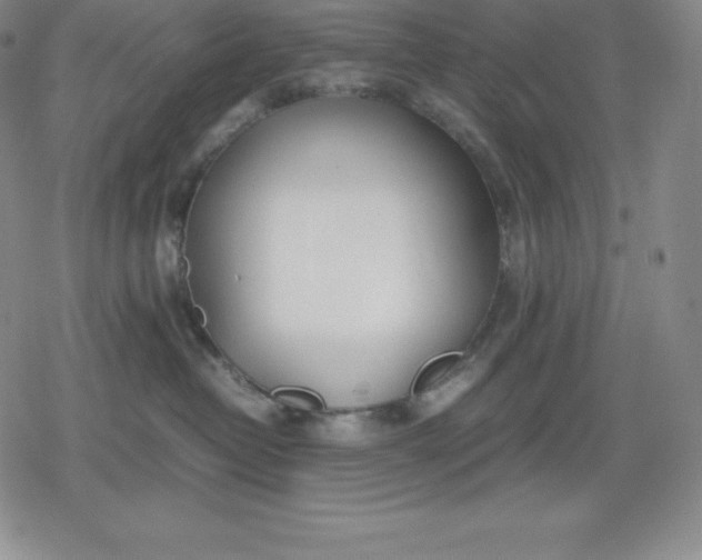 X0000080170382200612221257