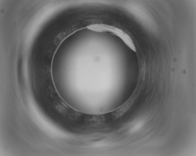 X0000080170383200612221257