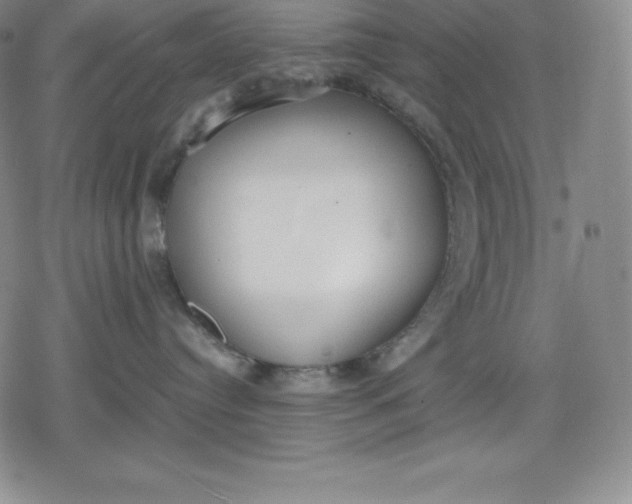 X0000080170384200612221257