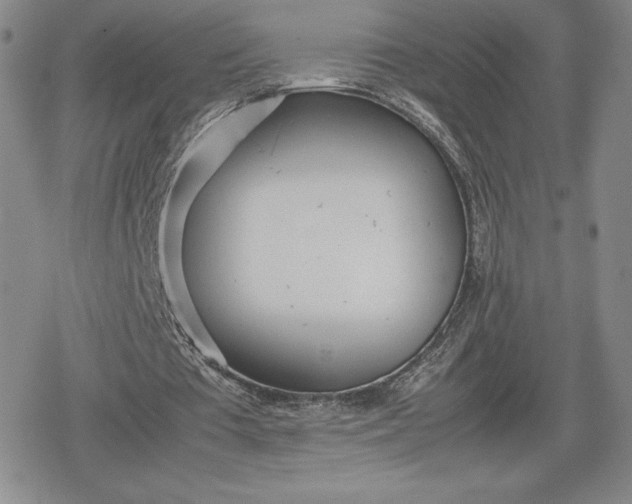 X0000080170385200612221256