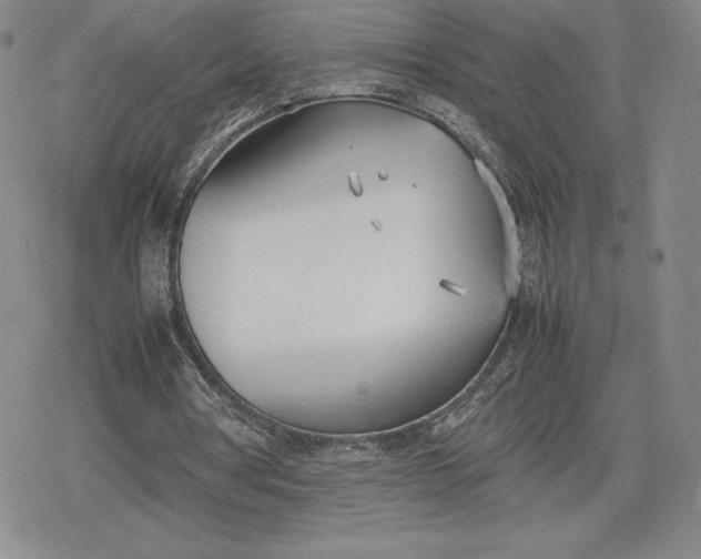 X0000080170386200612221256