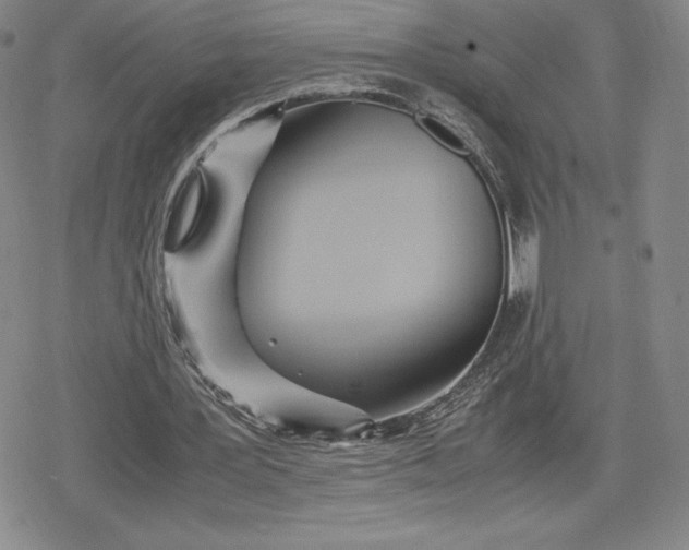 X0000080170387200612221256