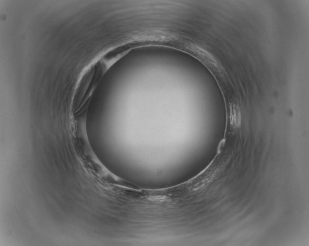 X0000080170388200612221256