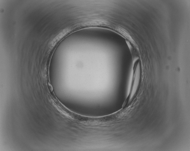 X0000080170389200612221256