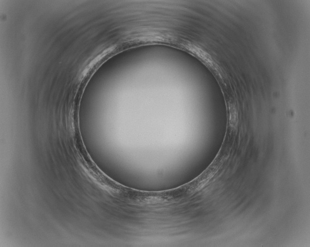 X0000080170390200612221256