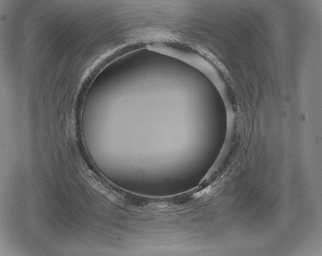 X0000080170391200612221256