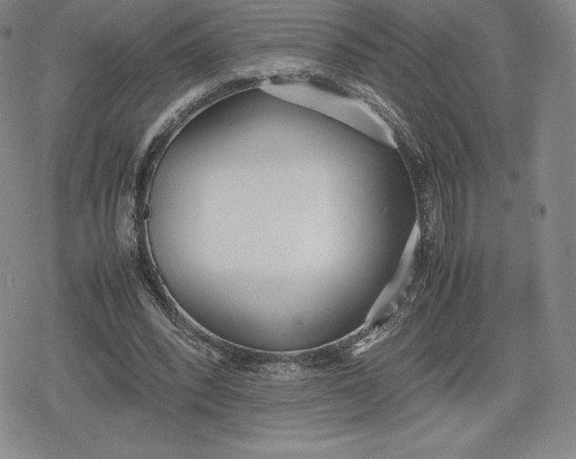 X0000080170392200612221256