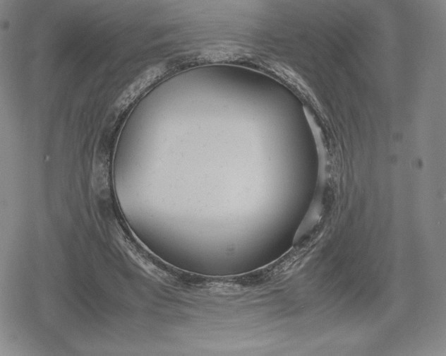 X0000080170393200612221256