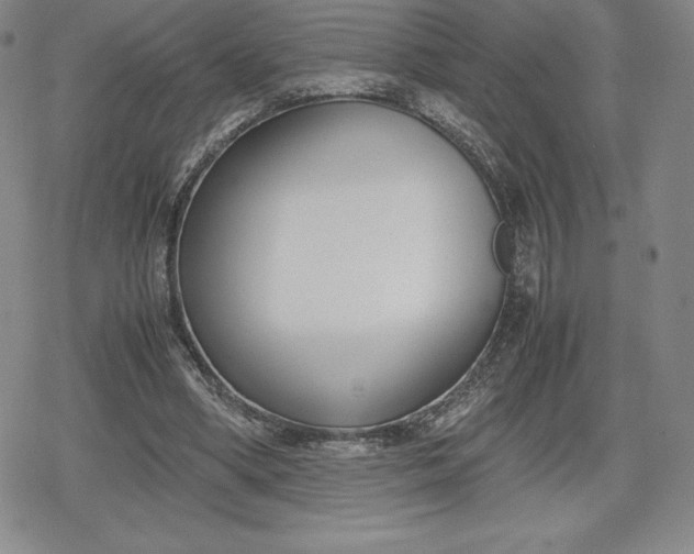 X0000080170394200612221256