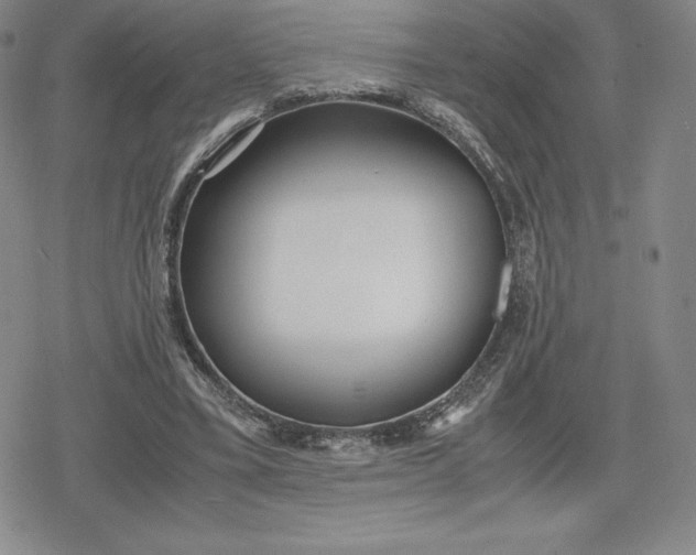 X0000080170395200612221256