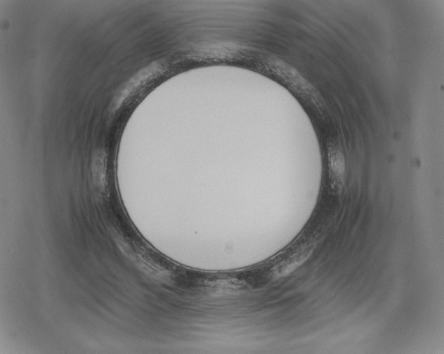 X0000080170396200612221256