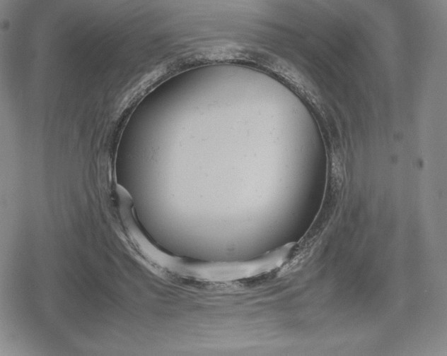 X0000080170397200612221256