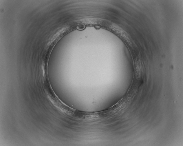 X0000080170398200612221256