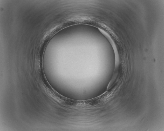 X0000080170399200612221256