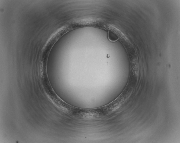 X0000080170400200612221256