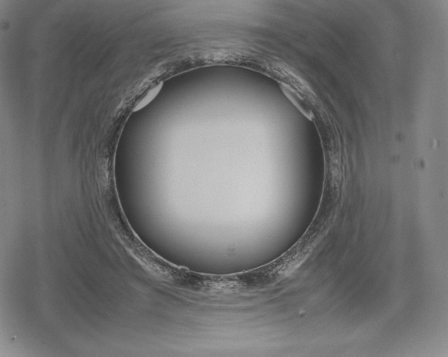 X0000080170401200612221256