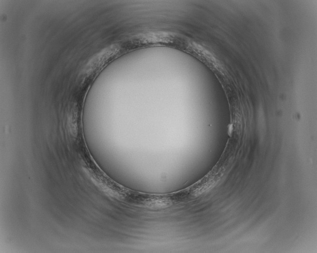 X0000080170402200612221256