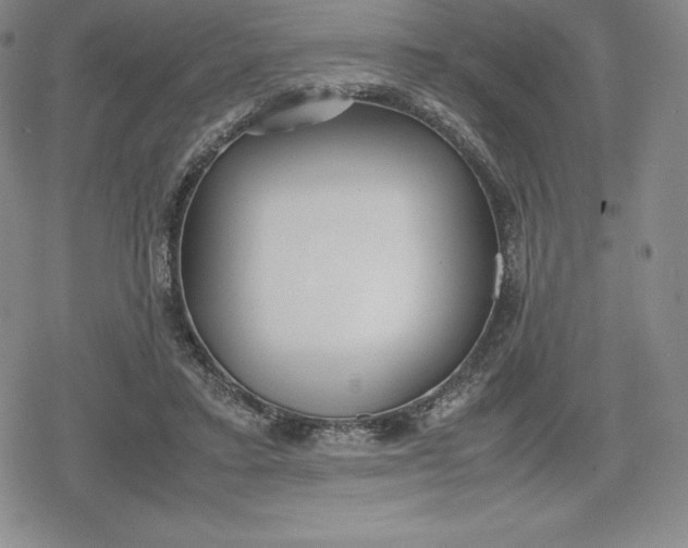 X0000080170403200612221256