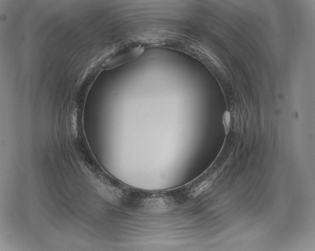 X0000080170404200612221256