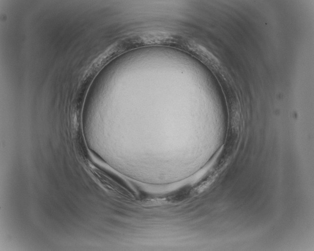 X0000080170405200612221256