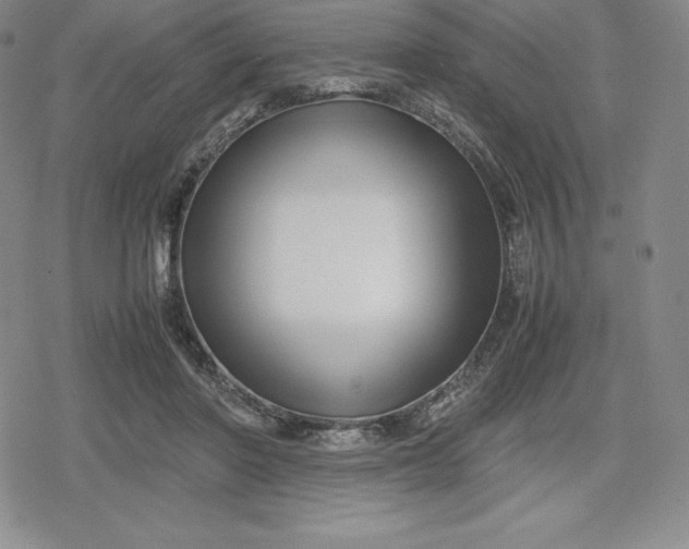 X0000080170406200612221256