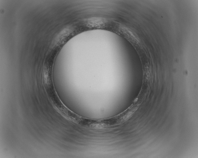 X0000080170408200612221256