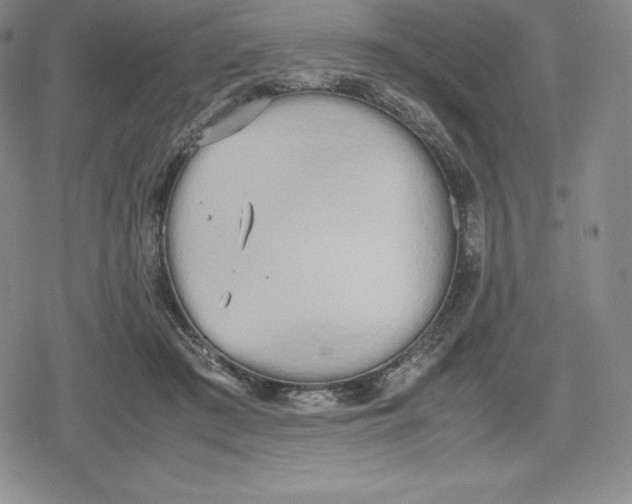 X0000080170409200612221256