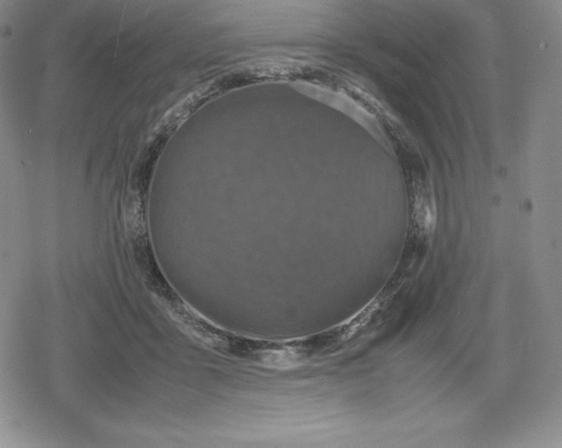 X0000080170411200612221256