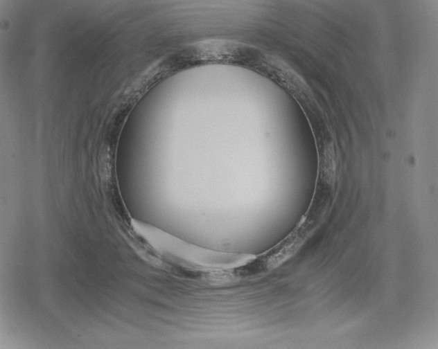 X0000080170413200612221256