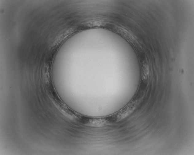 X0000080170414200612221256