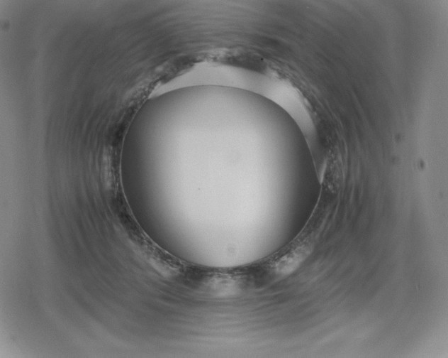 X0000080170416200612221256