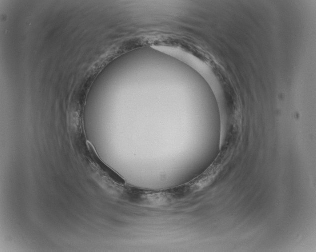 X0000080170417200612221256