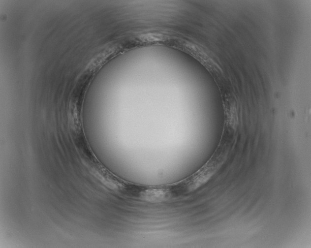 X0000080170418200612221255