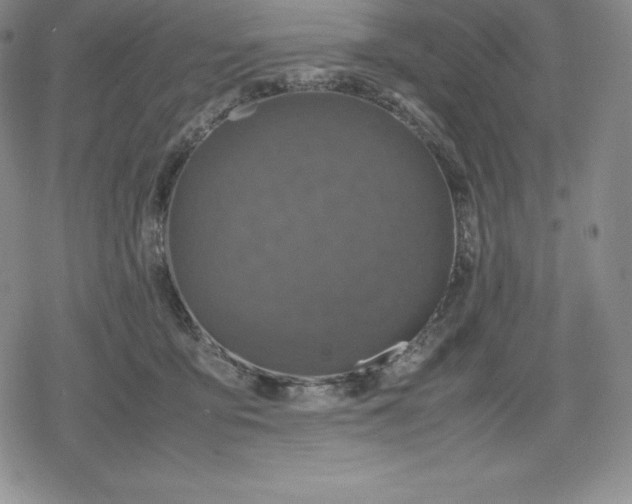 X0000080170419200612221255