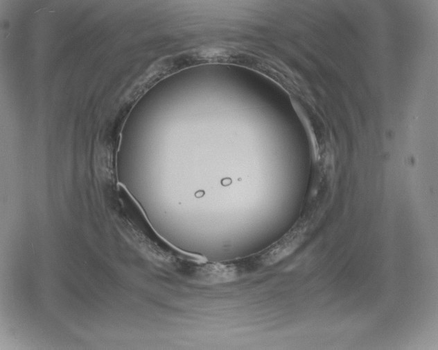 X0000080170421200612221255