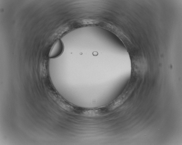 X0000080170422200612221255