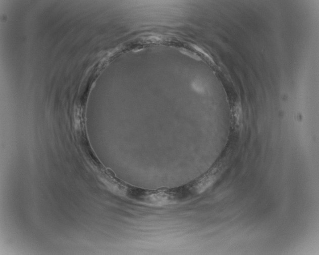 X0000080170423200612221255