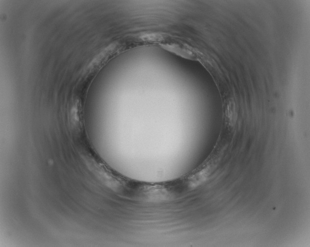 X0000080170424200612221255