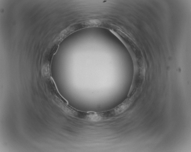 X0000080170425200612221255