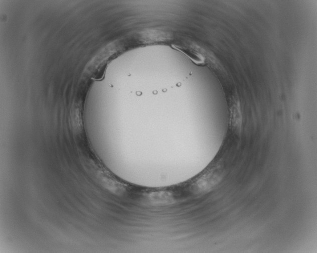 X0000080170426200612221255