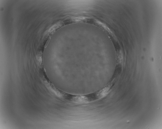 X0000080170427200612221255