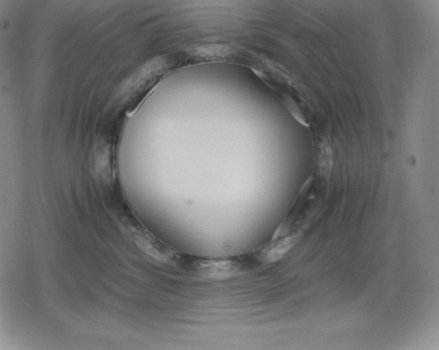 X0000080170428200612221255