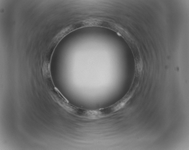 X0000080170429200612221255