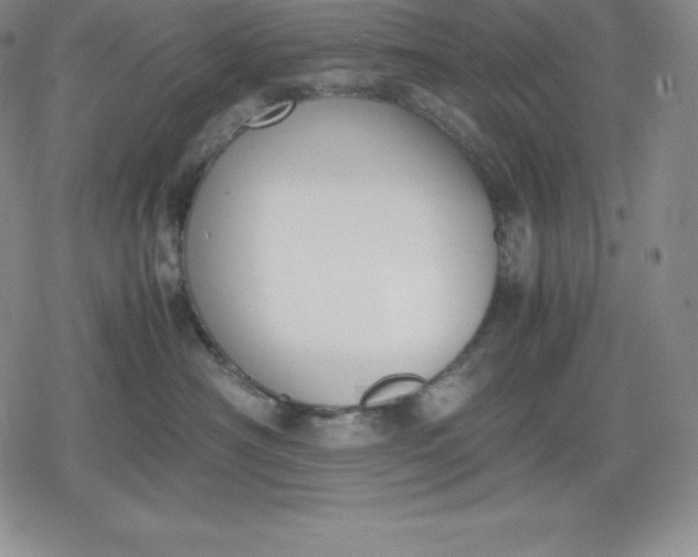 X0000080170430200612221255