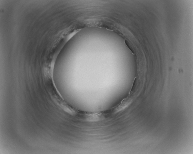 X0000080170432200612221255