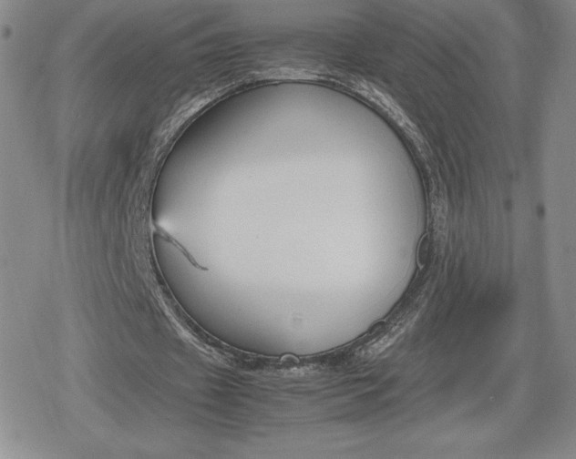 X0000080170433200612221254