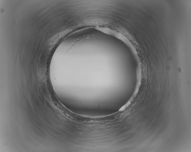 X0000080170434200612221254