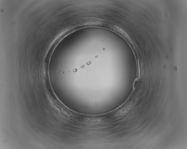 X0000080170435200612221255