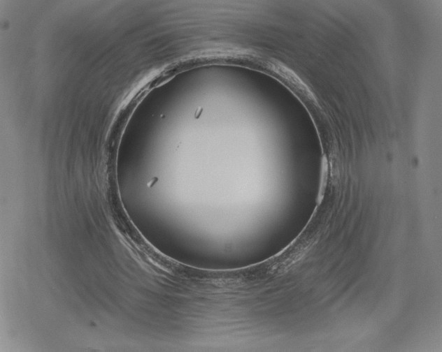 X0000080170436200612221255