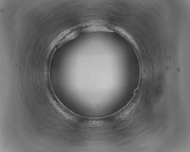 X0000080170437200612221255